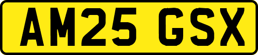 AM25GSX