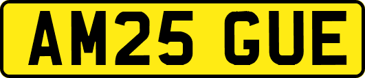 AM25GUE