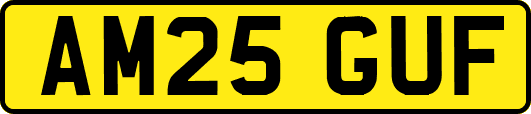 AM25GUF