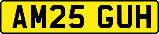 AM25GUH
