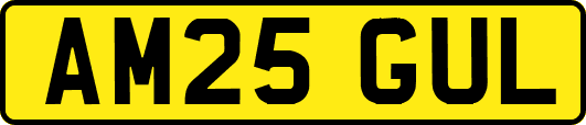 AM25GUL