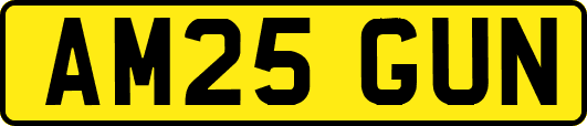 AM25GUN