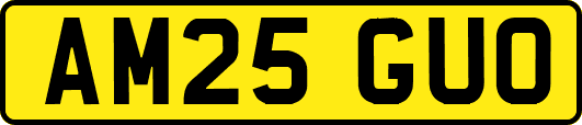 AM25GUO