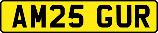 AM25GUR