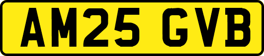 AM25GVB