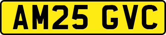 AM25GVC