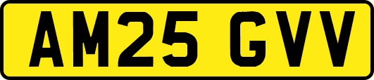 AM25GVV