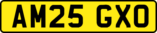 AM25GXO