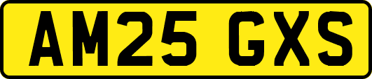 AM25GXS
