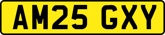 AM25GXY