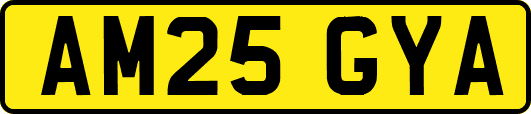 AM25GYA