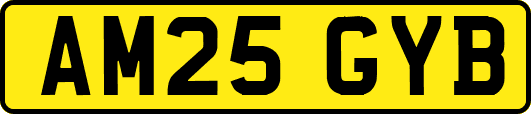 AM25GYB