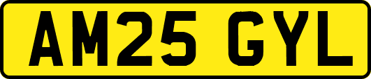 AM25GYL