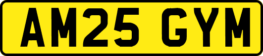 AM25GYM
