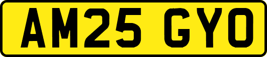 AM25GYO