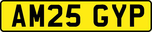 AM25GYP