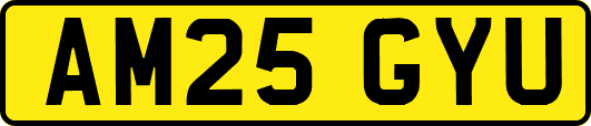 AM25GYU