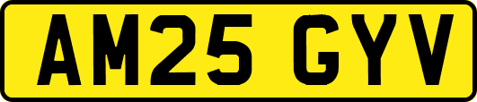 AM25GYV
