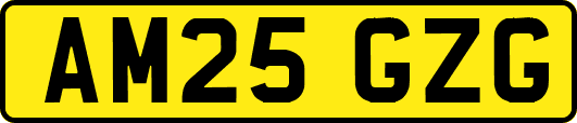 AM25GZG