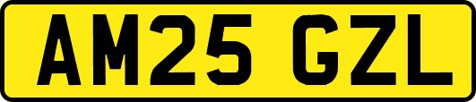 AM25GZL