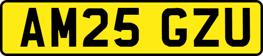 AM25GZU