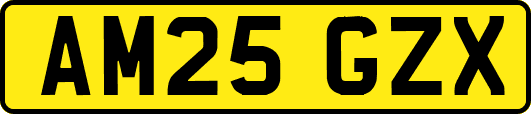AM25GZX