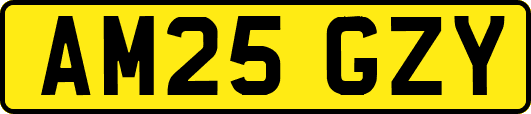 AM25GZY