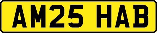 AM25HAB