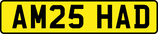 AM25HAD