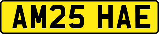 AM25HAE