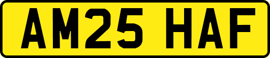 AM25HAF