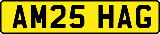 AM25HAG