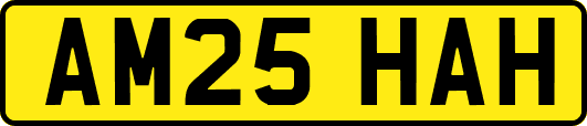 AM25HAH