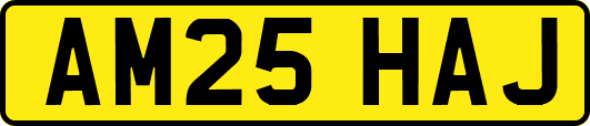 AM25HAJ