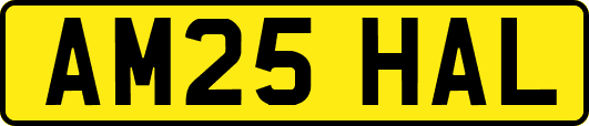 AM25HAL