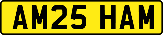 AM25HAM
