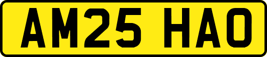 AM25HAO