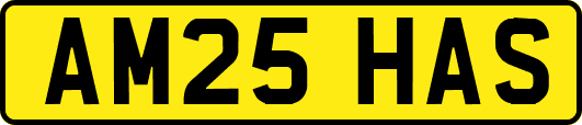 AM25HAS