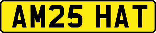 AM25HAT