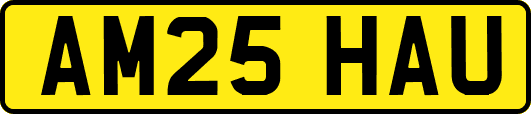 AM25HAU