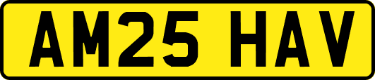 AM25HAV