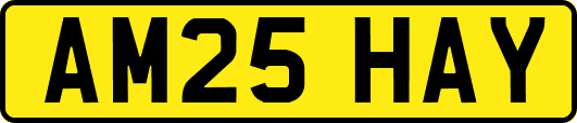 AM25HAY