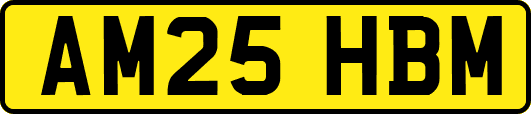 AM25HBM