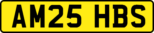 AM25HBS