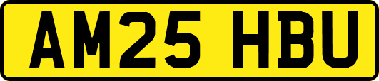 AM25HBU