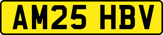 AM25HBV