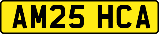 AM25HCA