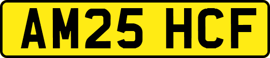 AM25HCF