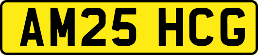 AM25HCG