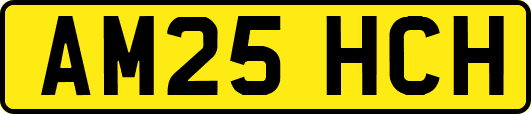 AM25HCH